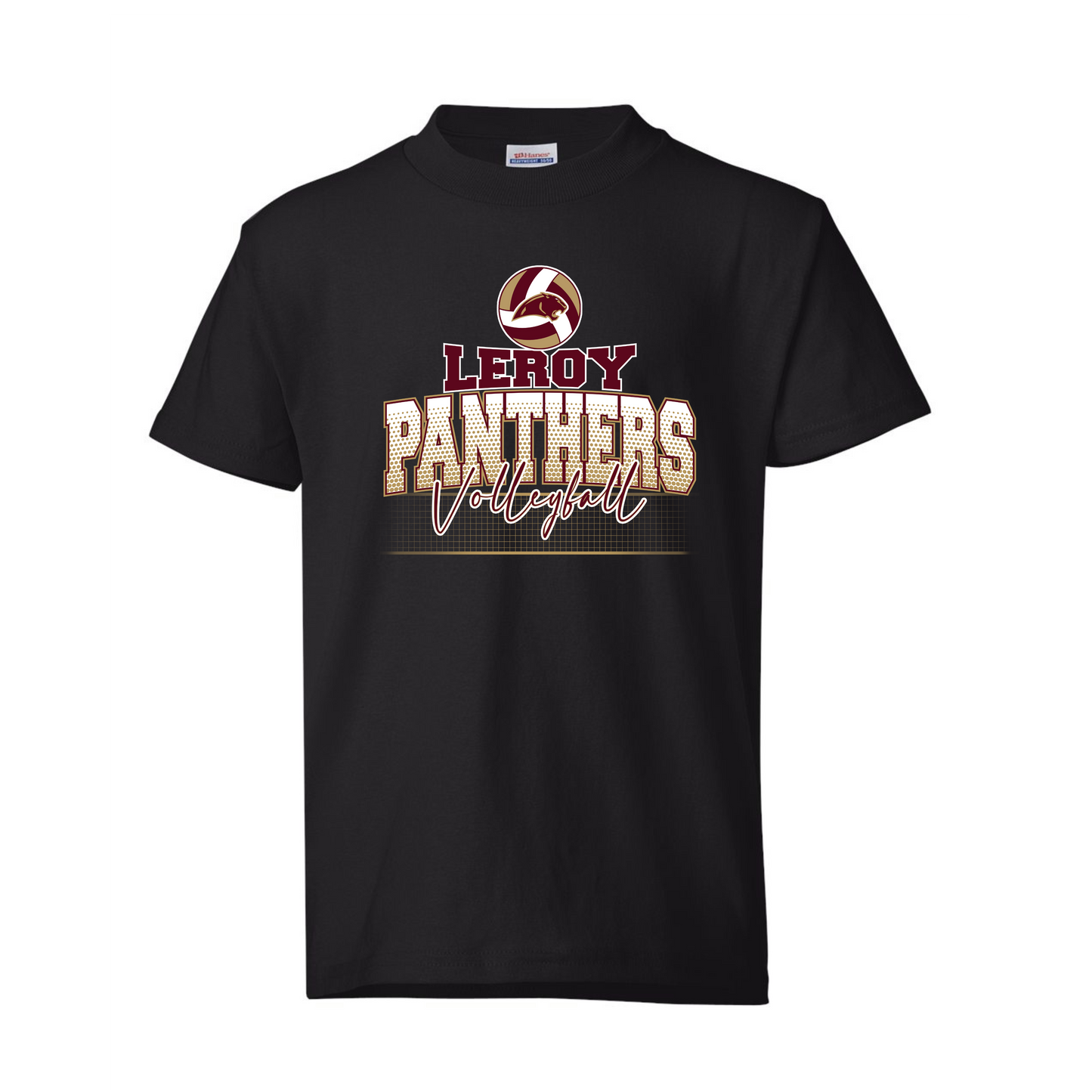 Leroy Panthers Volleyball