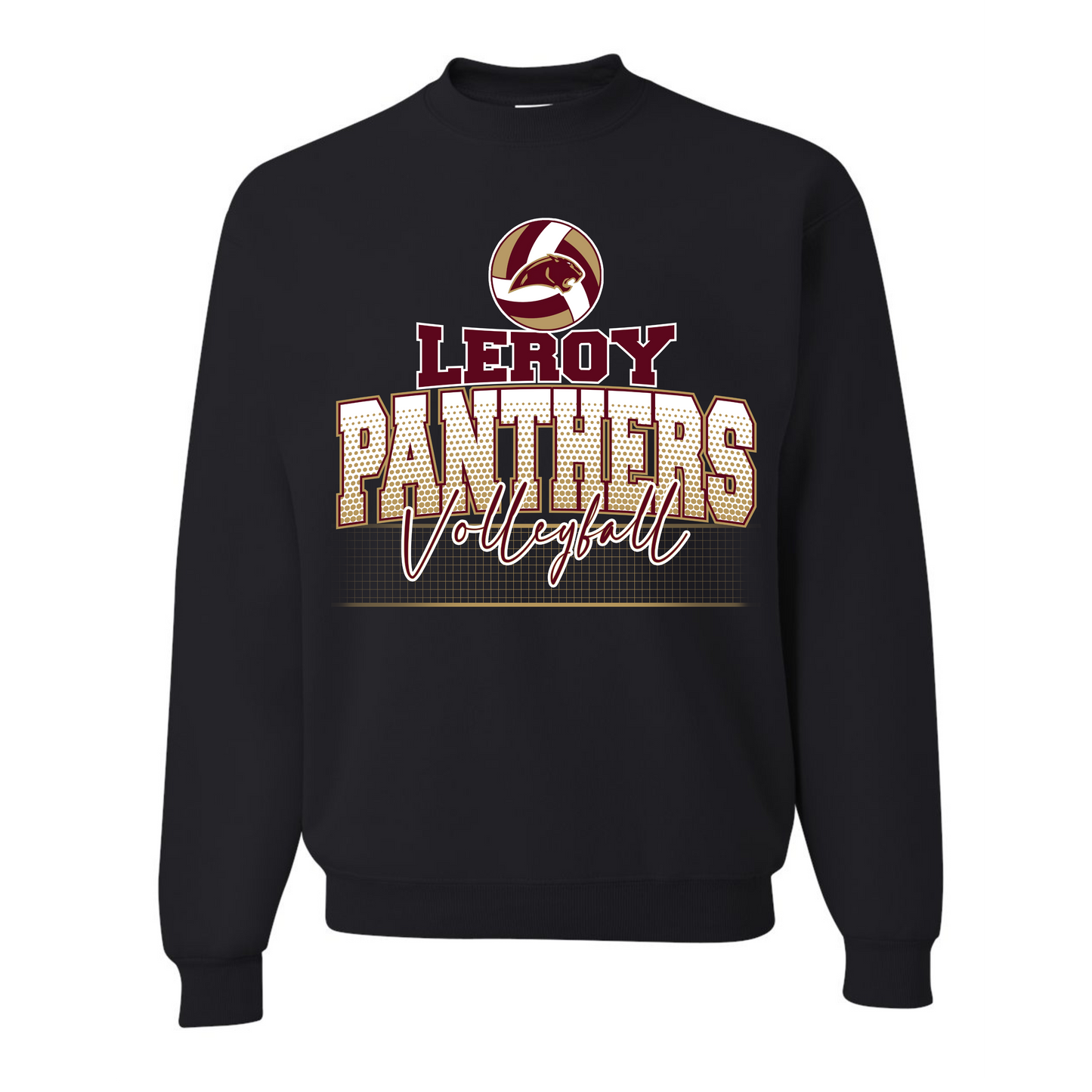 Leroy Panthers Volleyball