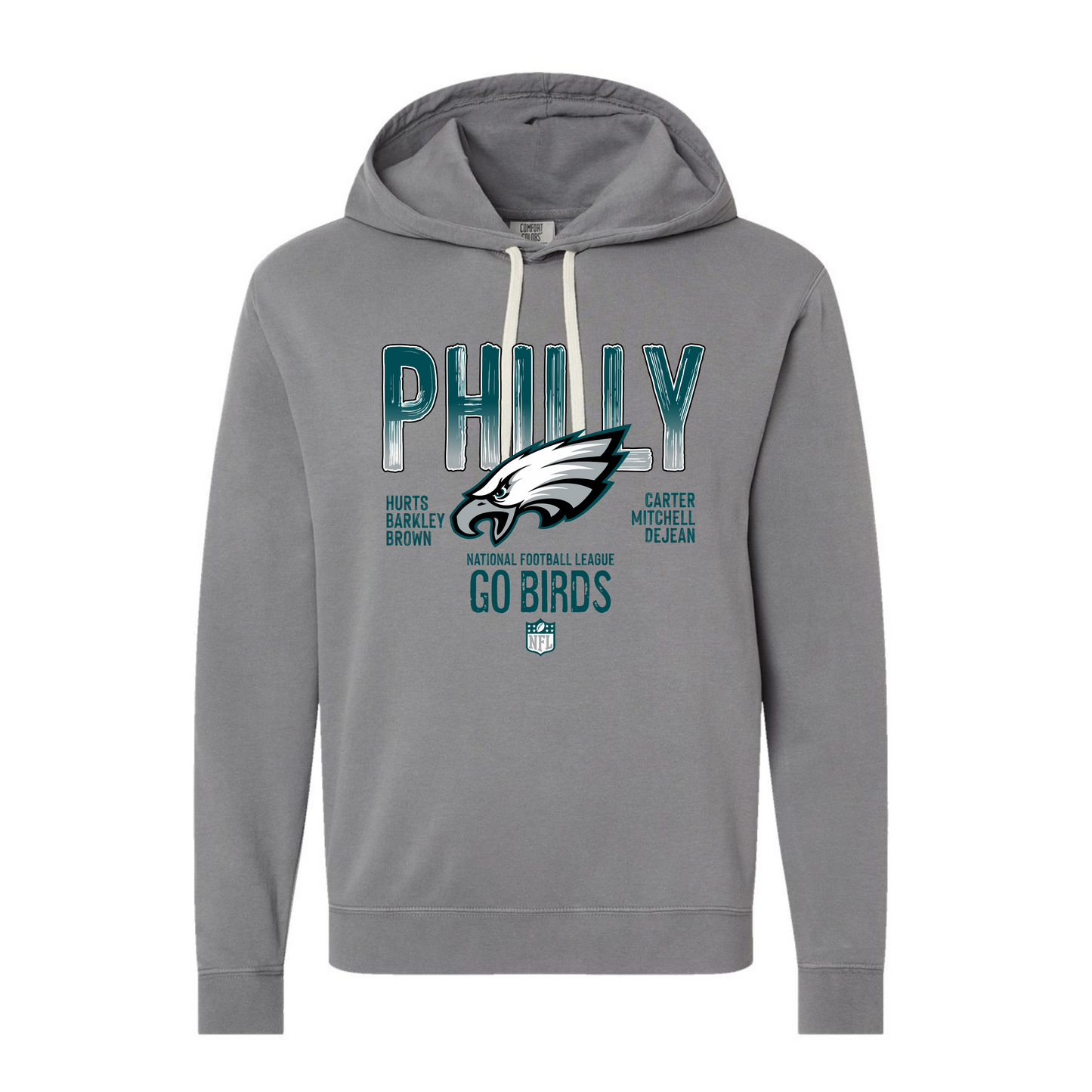 NFL Teams Comfort Colors Hoodie