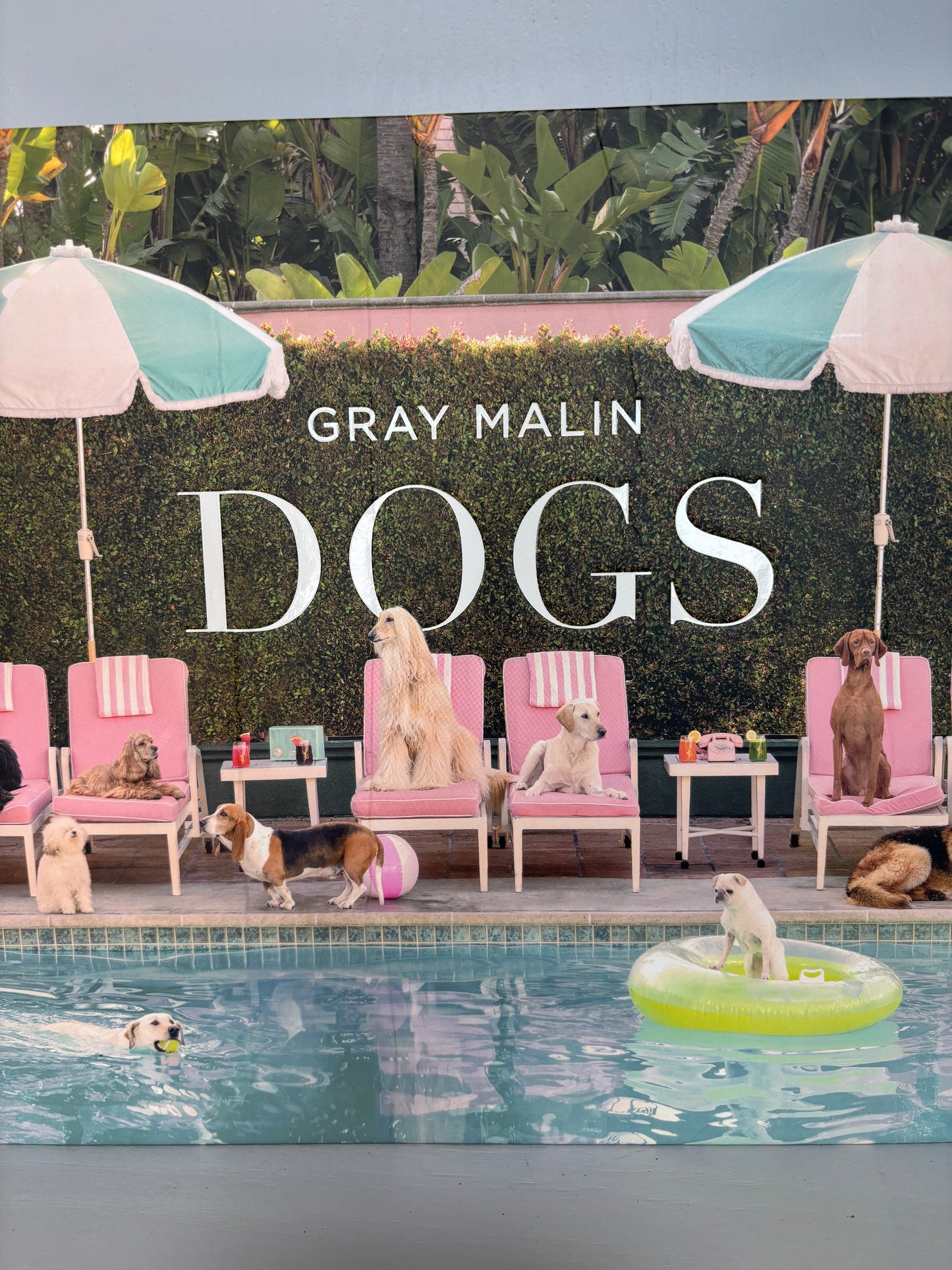 Gray Malin Dogs Coffee Table Book
