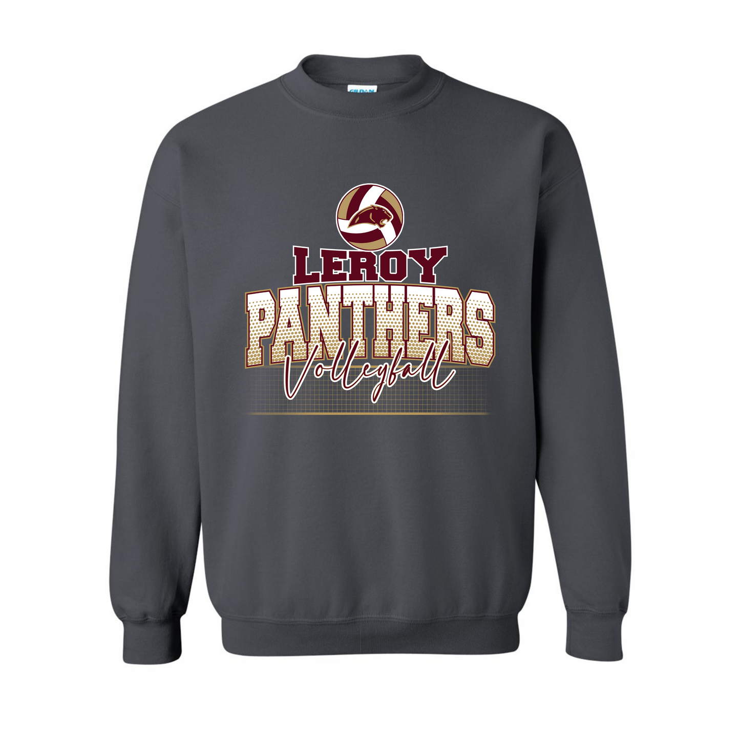 Leroy Panthers Volleyball